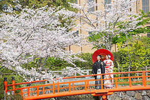 掛川城公園周辺