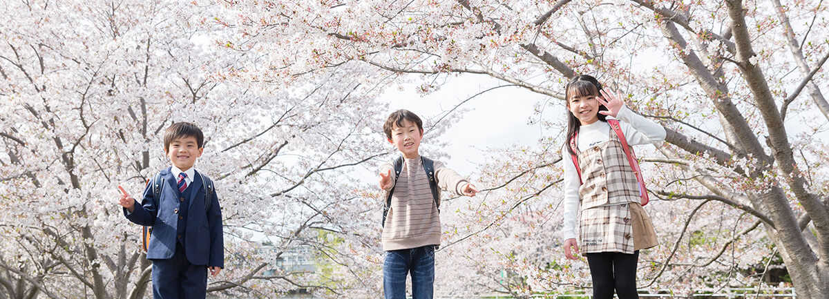 卒業・入学写真イメージ